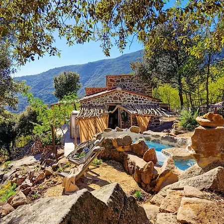 Sea View House Among Holm Oaks On Elba *
