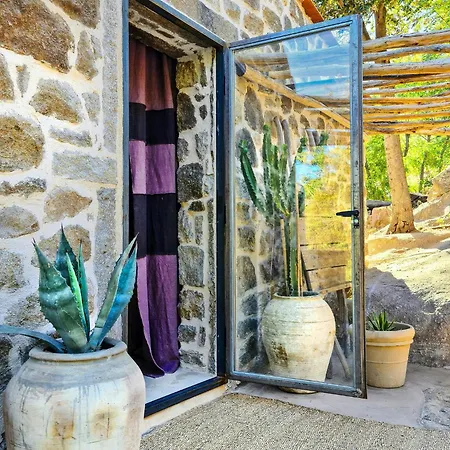 Sea View House Among Holm Oaks On Elba *