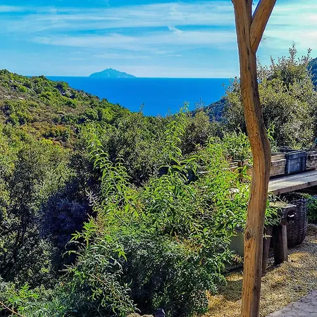Sea View House Among Holm Oaks On Elba Seccheto