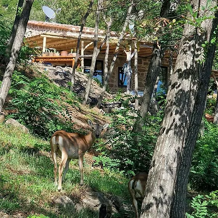 בית נופש Sea View House Among Holm Oaks On Elba