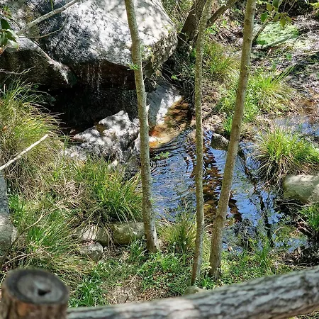 Sea View House Among Holm Oaks On Elba Prázdninový dům Seccheto