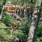 Casa de Férias Sea View House Among Holm Oaks On Elba